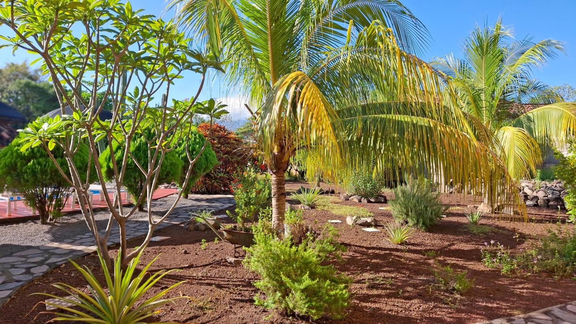 Hotel Jardin Garden De Granada Nicaragua Eksteriør billede